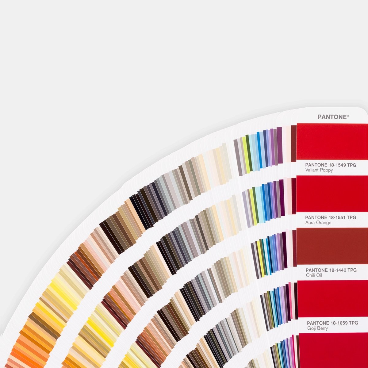 華*様 PANTONE カラーチャートセット 6冊 Amazon | PANTONE 色見本 パントン・ファッション・ホーム+